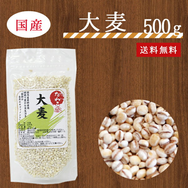 【送料無料】大麦(丸麦)500g【国産】