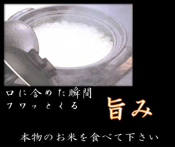 分つき米 玄米 7分づき 5分づき 特A 米10kg(5kg×2) 魚沼コシヒカリ 特別栽培米 新潟県 出荷日精米 送料無料 お米 令和5年産 3