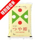 分つき米 玄米 7分づき 5分づき 米 5kg 特別栽培米 つや姫 山形県産 出荷日精米 送料無料 お米 令和6年産