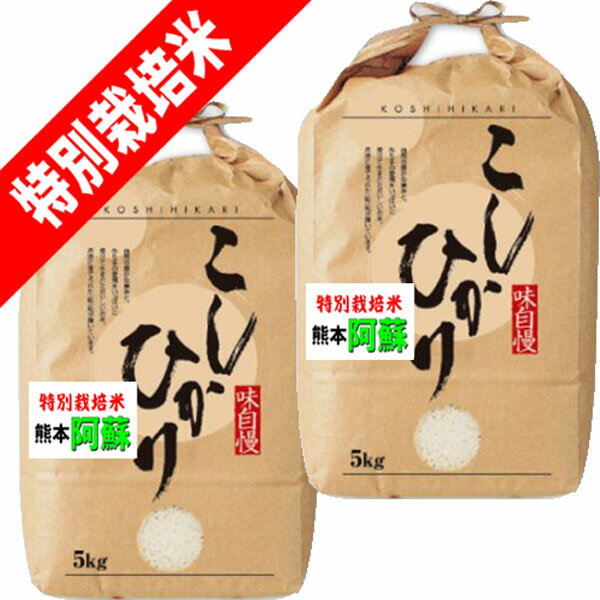 出荷日に精米します お好み精米もします 送料無料　分つき米 玄米 7分づき 5分づき 米10kg (5kg×2)コシヒカリ 熊本県産 阿蘇 特別栽培米出荷日精米 送料無料 お米 令和7年産