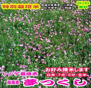 30年産　福岡産れんげ栽培米夢つくし【特別栽培米】特A 送料無料 精米4.5kg or 玄米5kg九州のお米