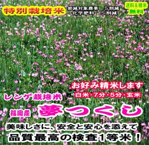 30年産　福岡産れんげ栽培米夢つくし【特別栽培米】特A 送料無料 精米4.5kg or 玄米5kg九州のお米