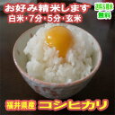 玄米 米 5kg コシヒカリ 福井県産 令和元年産 送料無料お米 分つき米