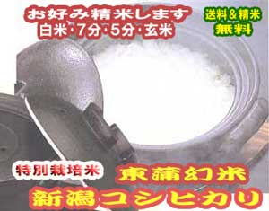 玄米 米 10kgコシヒカリ 新潟県産 特別栽培米 令和元年産 送料無料お米 分つき米