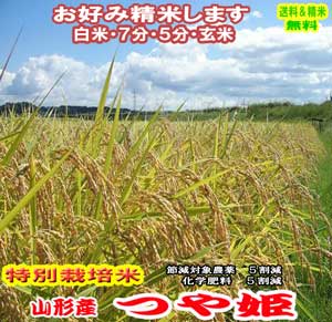 令和元年産 玄米 米 5kgつや姫 山形県産 特別栽培米 送料無料お米 分つき米...