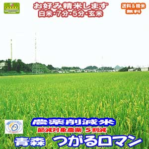 分づき米 玄米 減農薬 米 10kgつがるロマン 青森県産 特別栽培米 令和元年産 送料無料お米