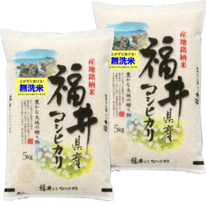 無洗米 米10kg (5kg×2) コシヒカリ 福井県産 出荷日精米 送料無料 令和5年産