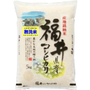 無洗米 米 5kg 特Aコシヒカリ 福井県産令和元年産 送料無料