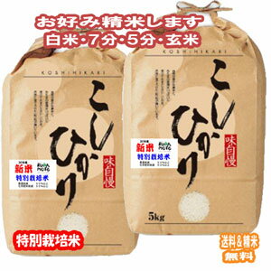 新米 分つき米 玄米 減農薬 米 10kgコシヒカリ 熊本県産 特別栽培米 令和元年...