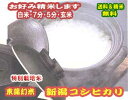 玄米 米 10kgコシヒカリ 新潟県産 特別栽培米 令和元年産 送料無料お米 分つき米