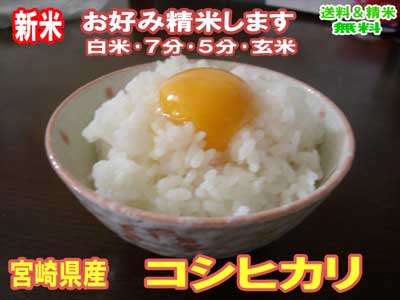 新米 玄米 米 5kgコシヒカリ 宮崎県産 令和3年産 送料無料 お米 分つき米 九州のお米