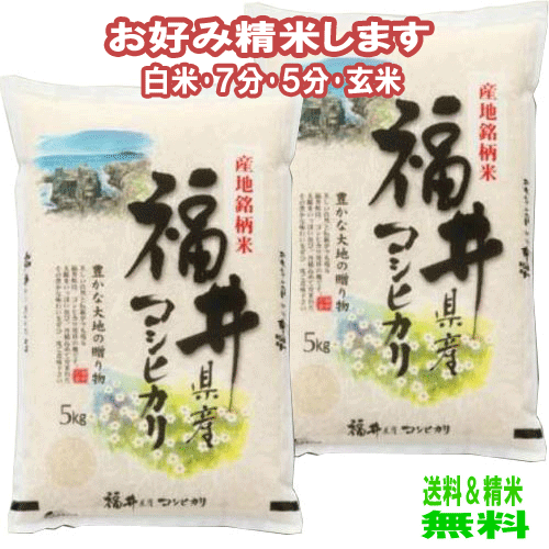 分つき米 玄米 7分づき 5分づき 米10kg (5kg×2)コシヒカリ 福井県産出荷日精米 送料無料 お米 令和5年産