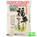 分つき米 玄米 7分づき 5分づき 米5kgコシヒカリ 福井県産出荷日精米 送料無料 お米 令和5年産