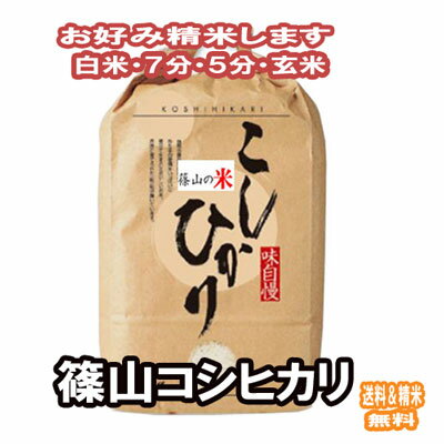 新米 分つき米 玄米 7分づき 5分づき 米 5kg 篠山 コシヒカリ 出荷日精米 送料無料 お米 令和5年産