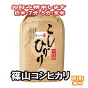 分つき米 玄米 7分づき 5分づき 米5kg 篠山 コシヒカリ 出荷日精米 送料無料 お米 令和5年産