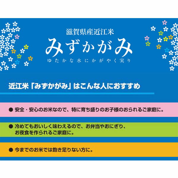 分つき米 玄米 7分づき 5分づき 米5kgみずかがみ 滋賀県産出荷日精米 送料無料 お米 令和7年産