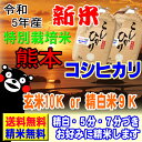 分つき米 玄米 7分づき 5分づき 米10kg (5kg×2)コシヒカリ 熊本県産 阿蘇 特別栽培米出荷日精米 送料無料 お米 令和5年産 2