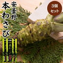 商品説明 名称 加工わさび 原材料名 塩蔵本わさび(本わさび(安曇野産)食塩)、植物油脂、食塩、デキストリン、本わさび(安曇野産)、食物繊維、本わさび加工品(安曇野産)/ソルビトール、加工デンプン、環状オリゴ糖、増粘剤(キサンタン)、香料、酸化防止剤(V.C) 内容量 30g 賞味期限 製造より1年 保存方法 高温、直射日光を避けて常温で保管してください。 製造者 株式会社まる井長野県安曇野市豊科4932