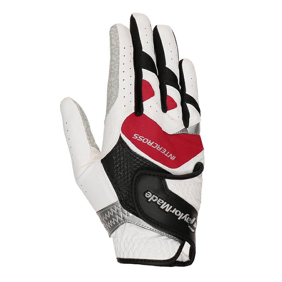 ơ顼ᥤ    TM24 󥿡 6.0  / ۥ磻/å