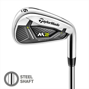 テーラーメイドゴルフ(TaylorMade Golf) M2 アイアンスチールシャフト 2019/REAX88 HL スチール【6本セット】
