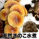 天然きのこ水煮2kg 秋田産 ナラタケ ムキタケ アミタケ ナメコ 採れたて産地直送 国産 産直 直売 なめたけ お取り寄せ 食材 山の幸 [天然キノコ] きのこ鍋 グルメ 秋の味覚 自然食