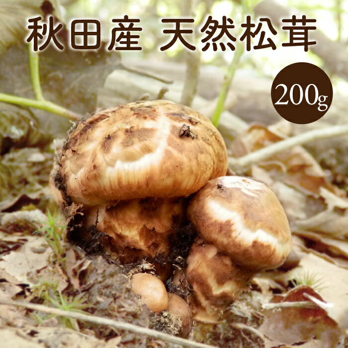 秋の味覚|通販で買える国産で安全・美味しい松茸グルメの人気 秋の味覚|通販で買える国産で安全・美味しい松茸グルメの人気