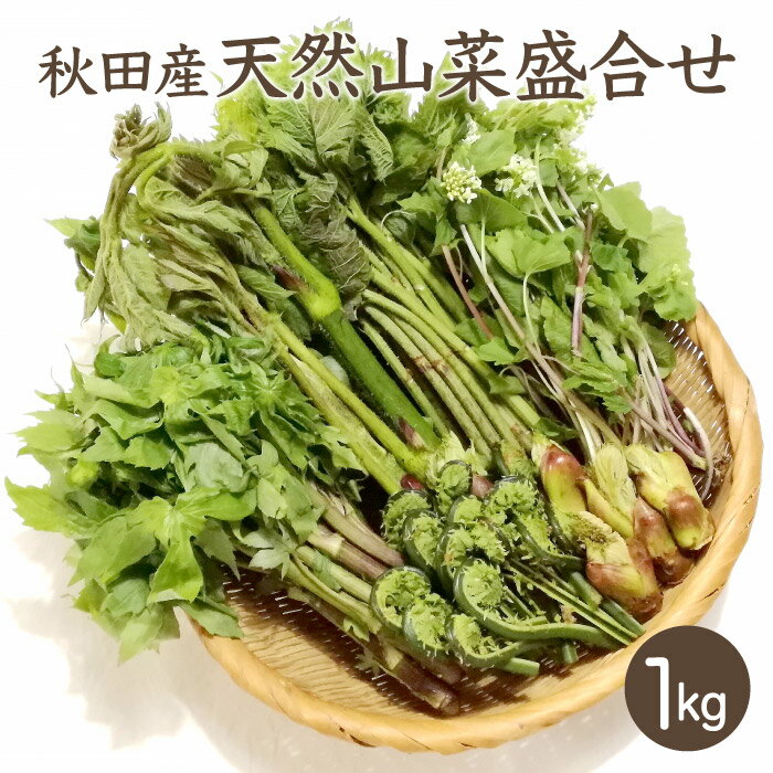 天然山菜盛合せ1kg【ご予約承り中！5月上旬出荷開始】秋田産 しどけ 葉わさび こごみ たらの芽 わらび ふきのとう ねまがり竹 あいこ 山うど 山菜セット 採りたて お取寄せ 山の幸