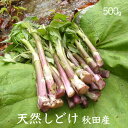 田沢湖山幸園 天然しどけ500g