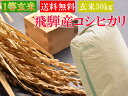  令和5年産 飛騨産コシヒカリ 玄米 30kg 一等 特A