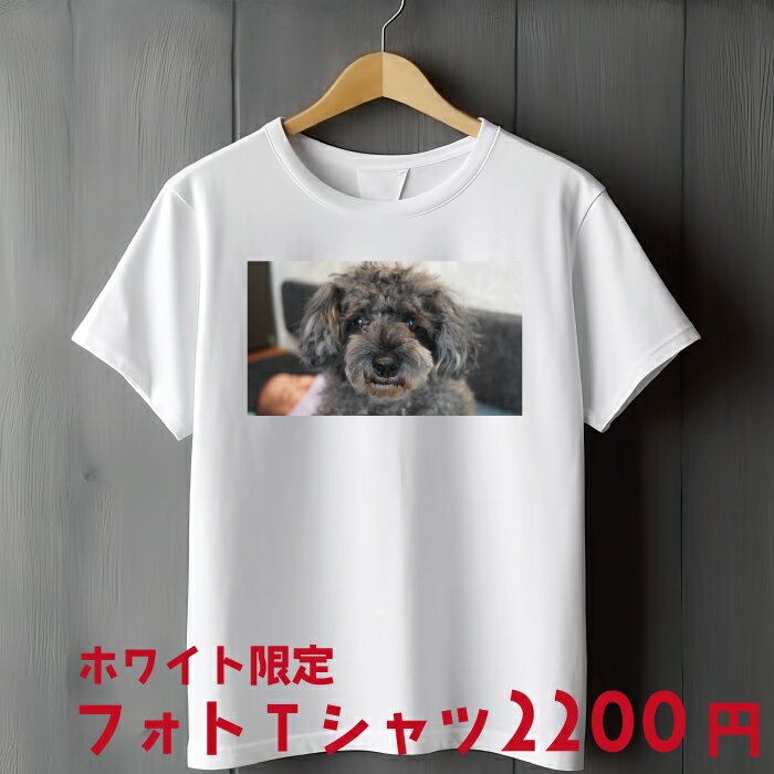 半袖 ホワイト限定 格安 プリントTシャツ 写真プリント ティーシャツ オリジナル 写真 プリント Tシャツプリント オーダーメイド ペット 犬 赤ちゃん 子供 インクジェット チームTシャツ イベントTシャツ 綿100％