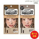カリプソ マジックシェーディング 選べる各種 4.5g ウォームグレージュ or クールグレージュ 輪郭 コンシーラー 自然メイク 小顔 フェイスライン 立体顔マット 鼻筋 化粧 メイク (クリックポスト送料無料)