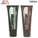 (選べる2個セット) ケンコー サンカラーマックス 白髪染め ヘアクリーム(送料無料)