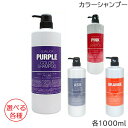 フィヨーレ クオルシア カラーシャンプー 1000ml 選べる各種 (小型宅配便送料無料) (HK発)