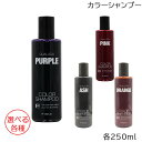 フィヨーレ クオルシア カラーシャンプー 250ml 選べる各種 (ゆうパケットパフ送料無料) (HK発)