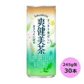 爽健美茶 245g缶×30本 コカ・コーラ商品以外と 同梱不可 【D】【サイズD】