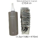 ホーユー バイカルテ CYSキット (1.5g×15枚) + 470ml (送料無料)