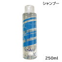 DEMI デミ サマーバー シャンプー 【クール10】 250ml