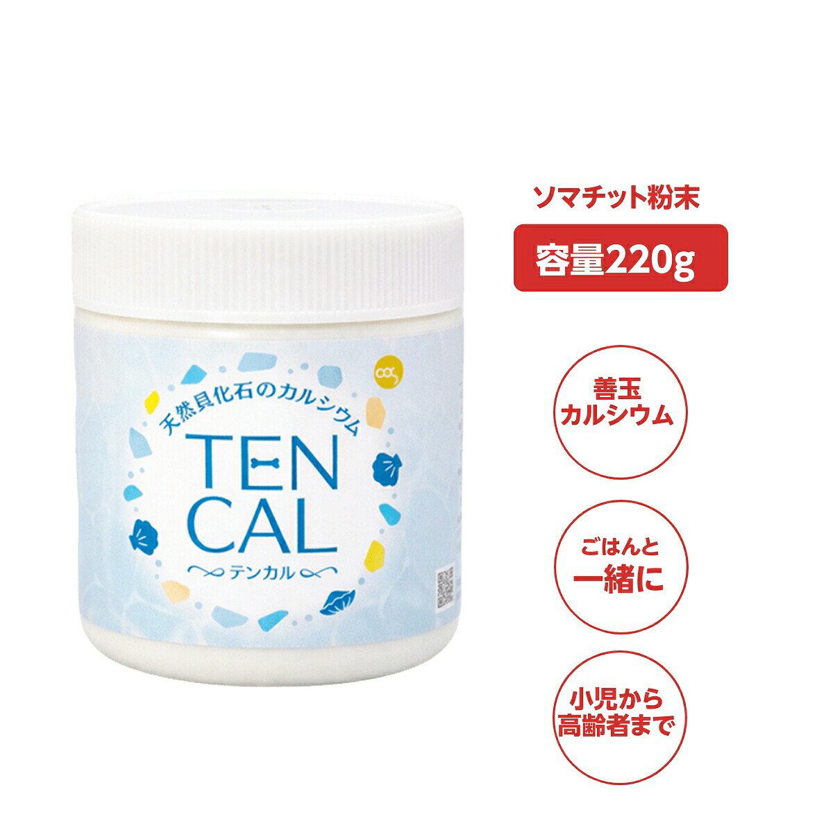 楽天市場】貝 化石 カルシウムの通販