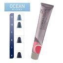 ウェラ イルミナカラー 80g 業務用 ヘアカラー 1剤 オーシャン (選べる明るさ 6 8 10 12) サロン専売品 美容室 毛染め メンズ レディース (asr)