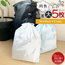 【GW限定クーポンで5%OFF】ビニール巾着 大 5枚セット(同色)ビニールバッグ ポリ袋 カラー 巾着 仕分け袋 巾着 袋 厚手 ナイロン 紐付き 保育園 幼...