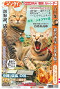 日刊ゲンダイ臨時特別号　2023年2月16日発行「日刊ニャンダイ」　猫を楽しむ　猫と生きる　吉田類さん「猫居酒屋」　我が家の猫　熱愛宣言　森村誠一/嘉門タツオ他　ネットで話題のスター猫大集合　（バズリ猫ちゃん）定価400円＋システム料200円