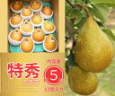 おトクな ゼネラルレクラーク 5kg 青森県産 A品 ゼネラルレクラーク お取り寄せ フルーツ 果物 洋梨 洋ナシ ヨウナシ 梨 ナシ 青森県 南部町産 贈り物 希少 グルメ プレゼント ブランド 南部町 産地直送 産直 贈答品 発売時期