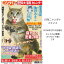 臨時特別号 日刊ニャンダイ2024 2月15日発行 タブロイド判28頁 猫と暮らす 猫を楽しむ 猫と生きる にゃんクリエイターズ 吉田類 池田あきこ 猫愛特集 にゃんたま 肉球 バズ猫 保護猫 猫カフェ 猫旅カレンダー ニッカンゲンダイ 現代 ゲンダイ テレビ 毎日