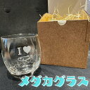 グラス オリジナル おさかな メダカ プレゼント ギフト ラッピング ボトルアクアリウム 彫刻 レーザー彫刻 かわいい 雑貨 プレゼント コップ 自分用 めだか アクアリウム グッズ 舞めだか 飼育 アイラブメダカ ロックグラス お酒 ワイン ブランデー