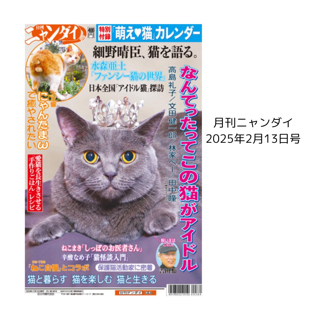 臨時特別号 日刊ニャンダイ2025年 2月13日発行 タブロイド判28頁 にゃんこワールド 「しっぽのお医者さん」ねこまき 出張編 猫ちゃん クロスワード 主役を食った！？文学に描かれた猫特集 猫怪談入門 辛酸なめ子 にゃんたまパラダイス 猫を語る 萌え♥猫 カレンダー　毎日
