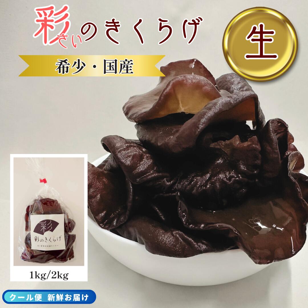【テレビ紹介あり】彩のきくらげ 生きくらげ ZIP 国産 キクラゲ 木耳 きくらげ 歯ごたえ ぷりぷり こりこり 肉厚 食材 和食 洋食 中華 新聞 首都圏センター 川口工場 印刷工場 栽培 国内栽培 きのこ 無添加 希少 レア おいしい 美味しい 1kg 2kg 業務用