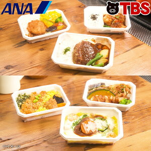 ANA国際線 機内食 TBSショッピング限定セット ／ 計6食 ／ ANA 全日本空輸 機内食 レトルト 弁当 ハンバーグ カレー 油淋鶏 天丼 ドリア 惣菜 【TBSショッピング】