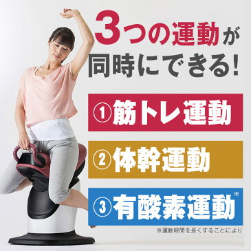 【 TBS カイモノラボ 特別価格】送料無料 ロデオボーイ / FD-017 ロデオ 筋トレ 体幹 有酸素運動 筋トレ器具 スタイルアップ 乗馬 マシン 乗馬マシン 乗馬フィットネス 乗馬 フィットネス ギフト / プレゼント にもおすすめ【TBSショッピング】