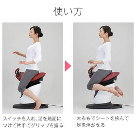 【特別価格】乗馬フィットネスマシン「ロデオボーイ」/FD-017(送料無料)