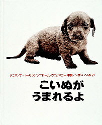【3980円以上送料無料】こいぬがうまれるよ／ジョアンナ コール／文 ジェローム ウェクスラー／写真 つぼいいくみ／訳
